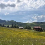 aecherli