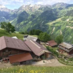 bildschirmfoto-2025-04-03-um-17.01.04